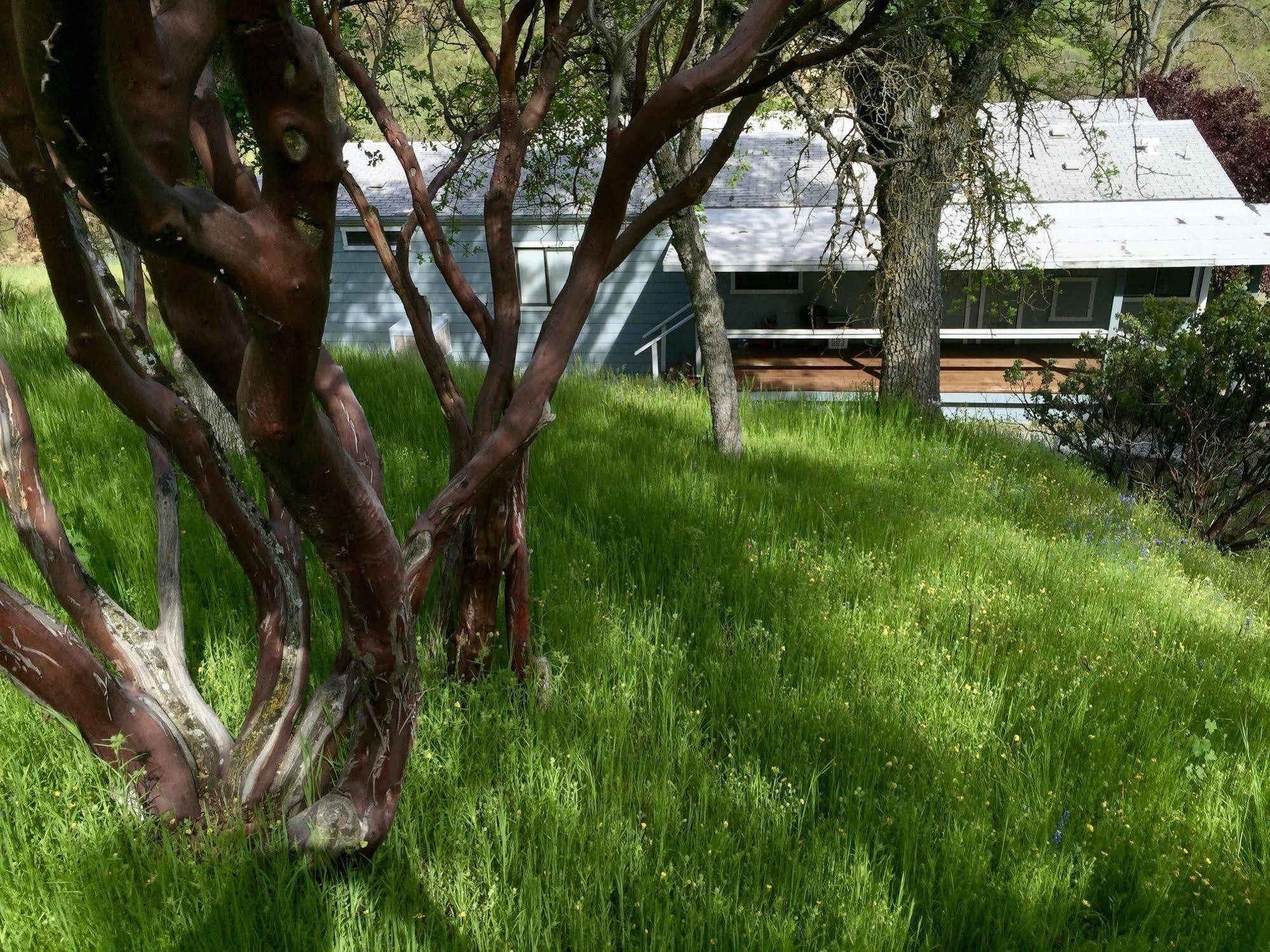 Sequoia Resort Badger Екстериор снимка